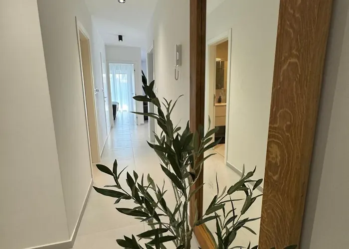 Apartman Divina V 150 Meters From The *